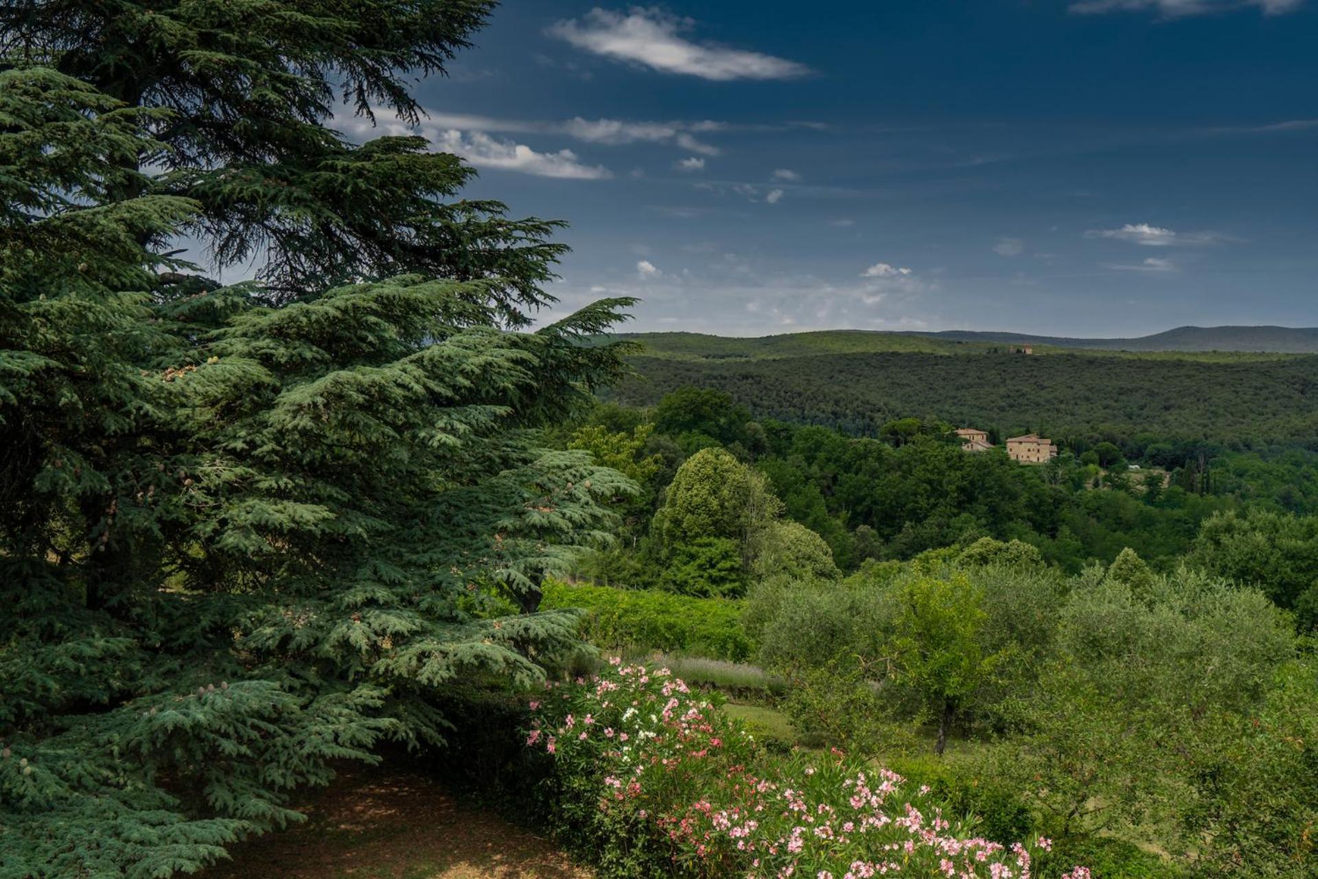 Borgo Villa Certano - Case Vacanza In Toscana Siena Ngoại thất bức ảnh