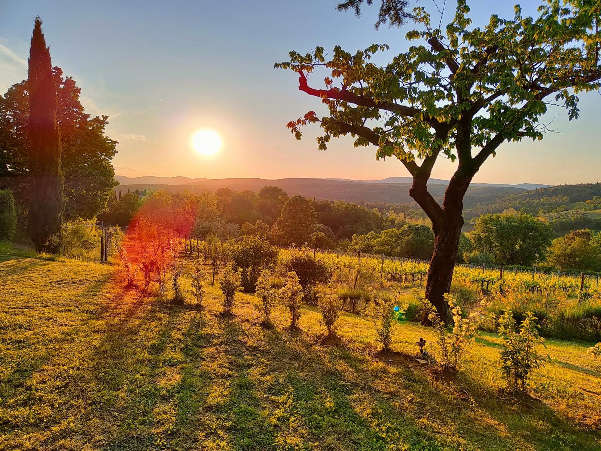 Borgo Villa Certano - Case Vacanza In Toscana Siena Ngoại thất bức ảnh