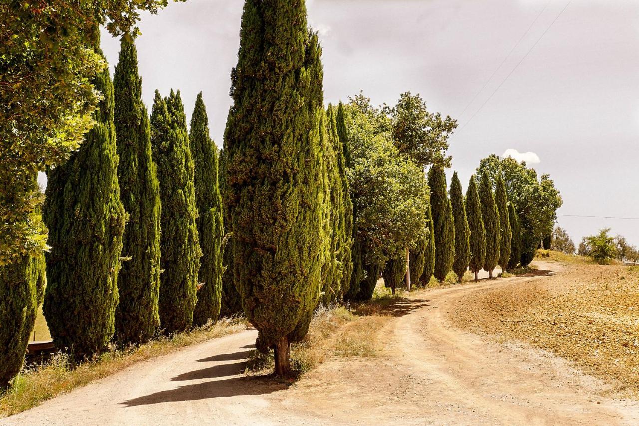 Borgo Villa Certano - Case Vacanza In Toscana Siena Ngoại thất bức ảnh