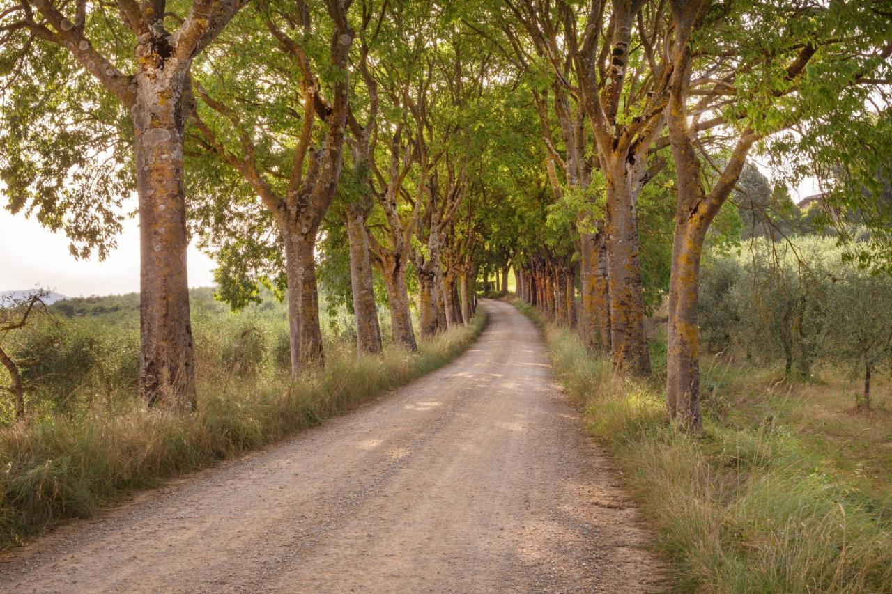 Borgo Villa Certano - Case Vacanza In Toscana Siena Ngoại thất bức ảnh